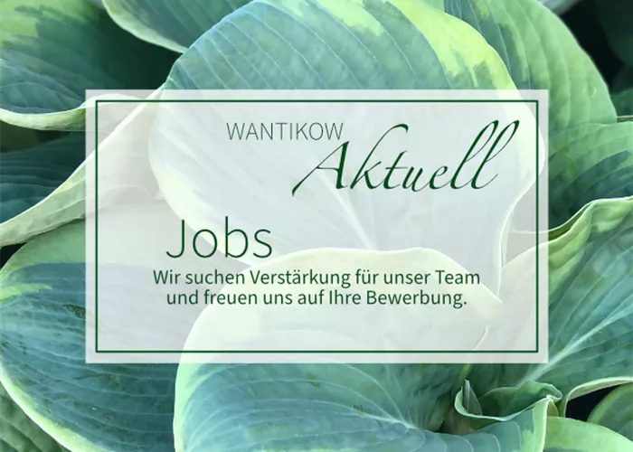 Arbeiten bei Wantikow Arbeiten bei Wantikow