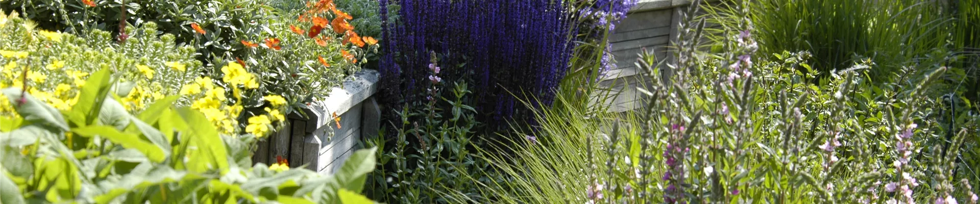 GS619931.jpg GS619931.jpg