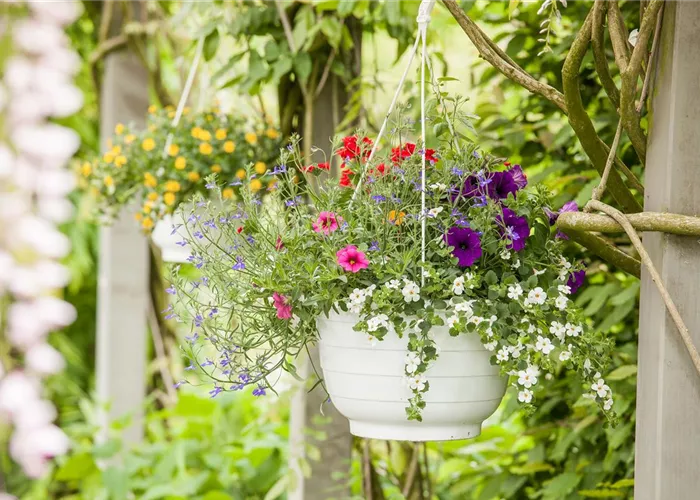 Urlaub auf Balkonien – Grüne Oasen auf dem Balkon Urlaub auf Balkonien – Grüne Oasen auf dem Balkon
