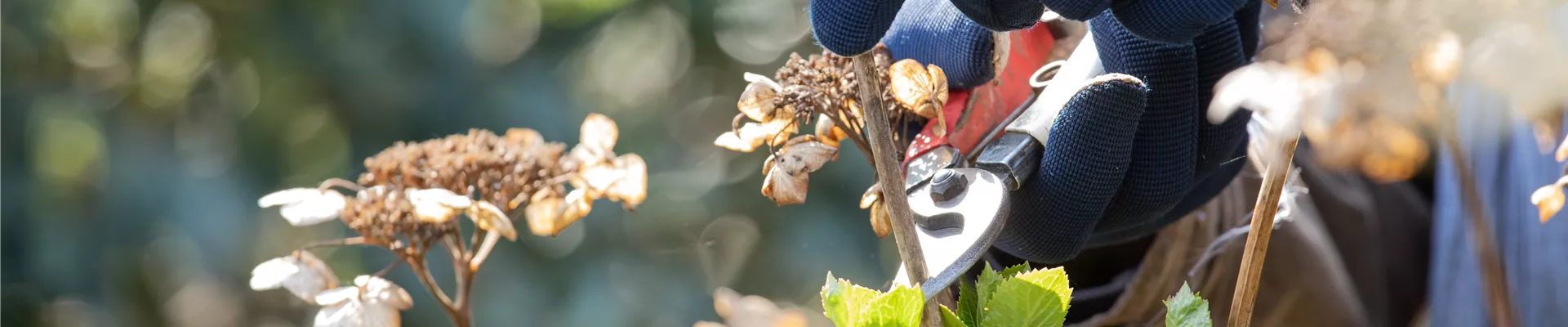 GS620133.jpg GS620133.jpg