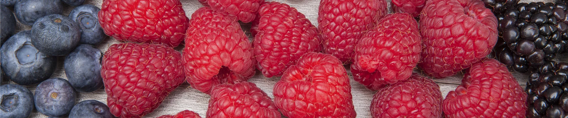 GS510183.jpg GS510183.jpg