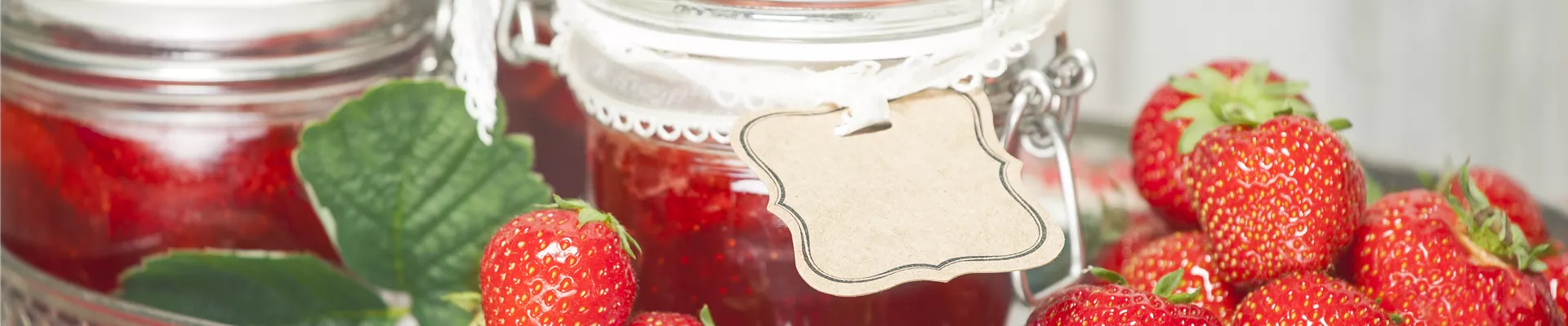 GS495780.jpg GS495780.jpg