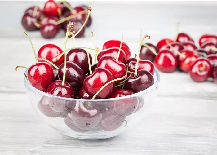 Die Früchte des Gartens gut verarbeiten Die Früchte des Gartens gut verarbeiten