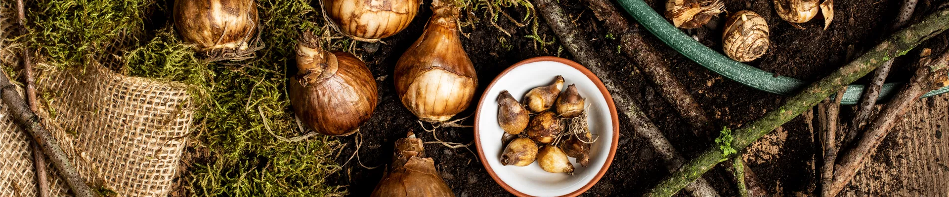 GS636746.jpg GS636746.jpg