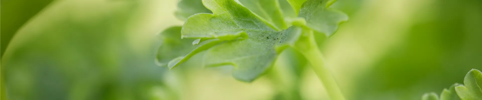 GS534509.jpg GS534509.jpg