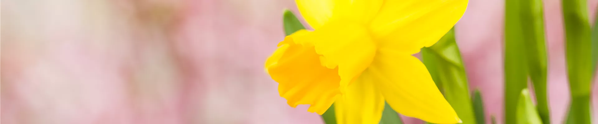 GS528183.jpg GS528183.jpg