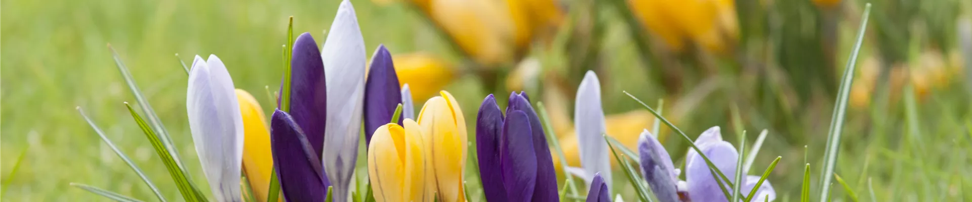 GS472392.jpg GS472392.jpg