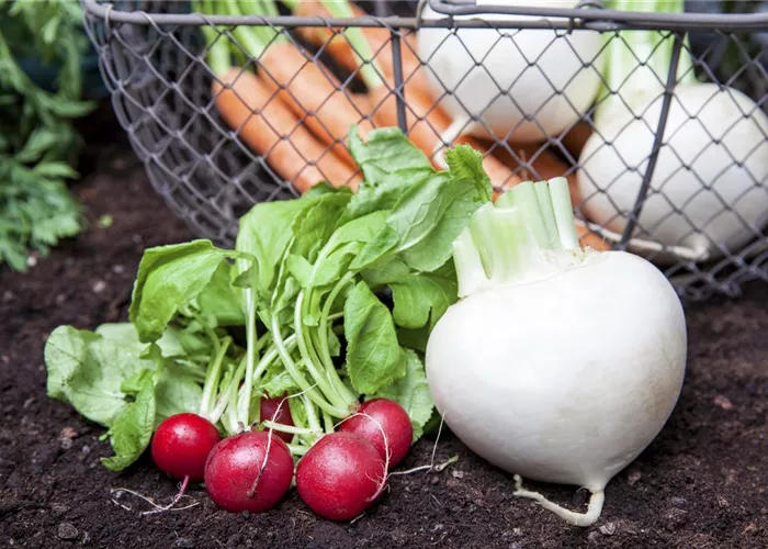 Erntegut haltbar machen Erntegut haltbar machen