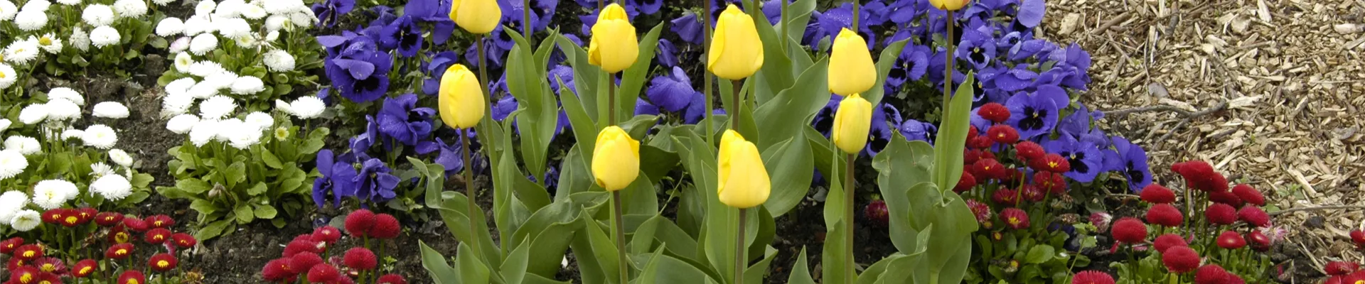 GS635956.jpg GS635956.jpg