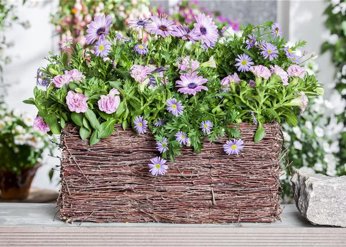 Frühling, Sommer, Herbst, Winter: der Balkon ist immer ein schöner Anblick Frühling, Sommer, Herbst, Winter: der Balkon ist immer ein schöner Anblick