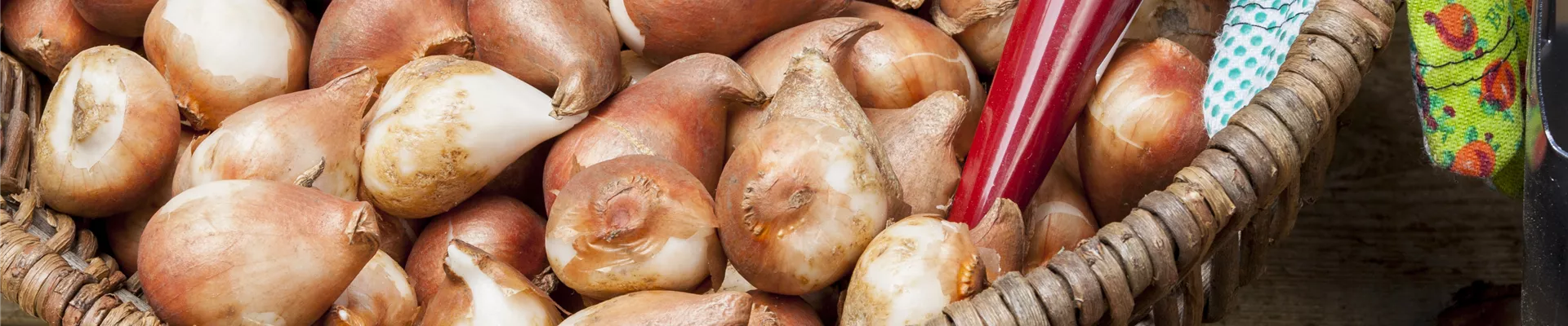 GS504654.jpg GS504654.jpg