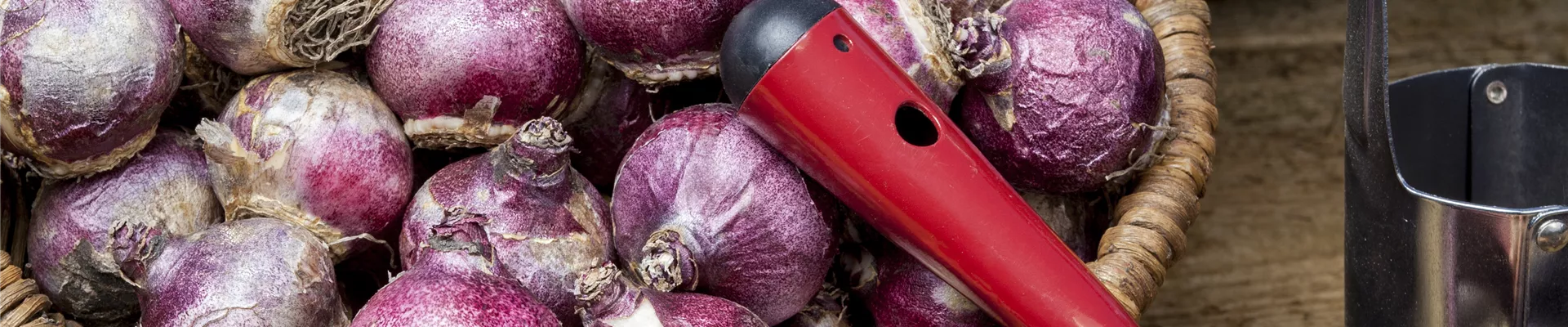 GS504653.jpg GS504653.jpg