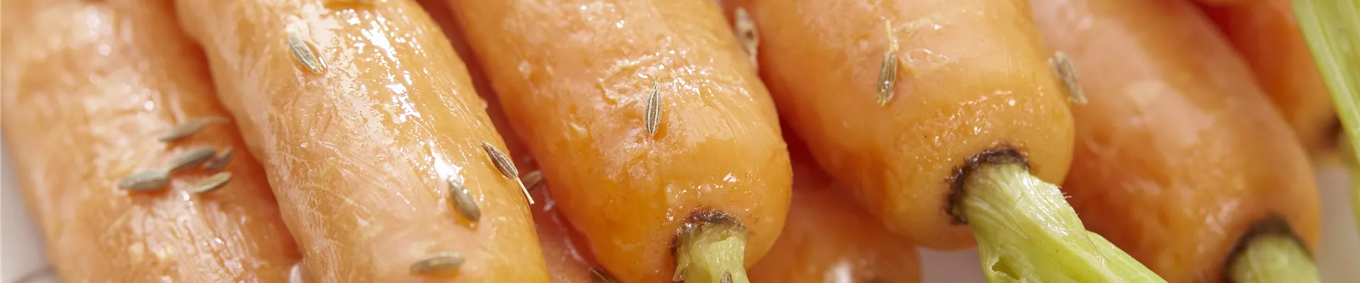 visi135673.jpg visi135673.jpg