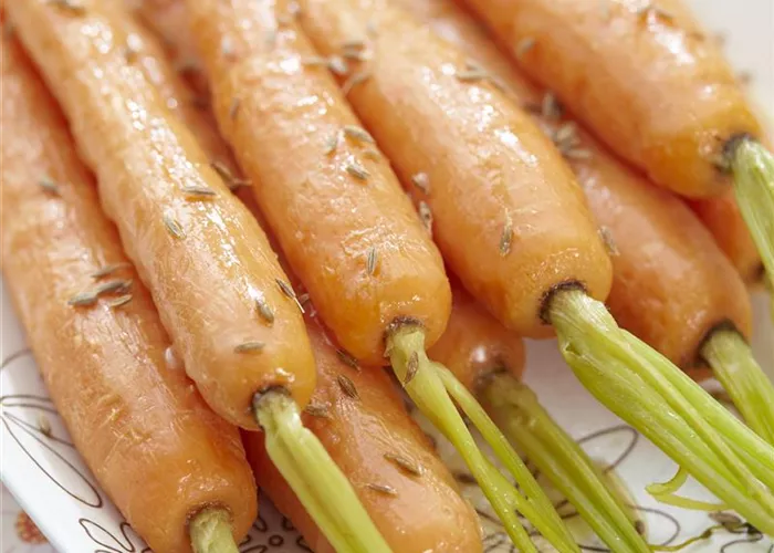 Tipps zur Lagerung von Wurzelgemüse Tipps zur Lagerung von Wurzelgemüse