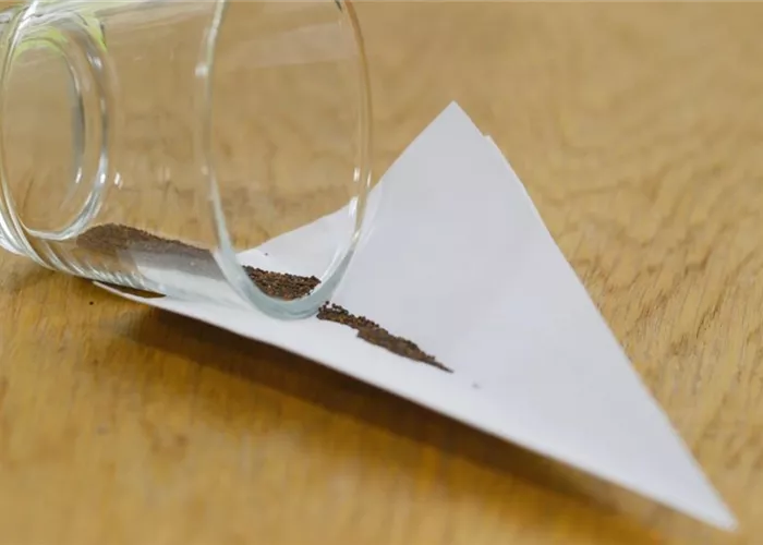 Thymian - Aussaat Thymian - Aussaat