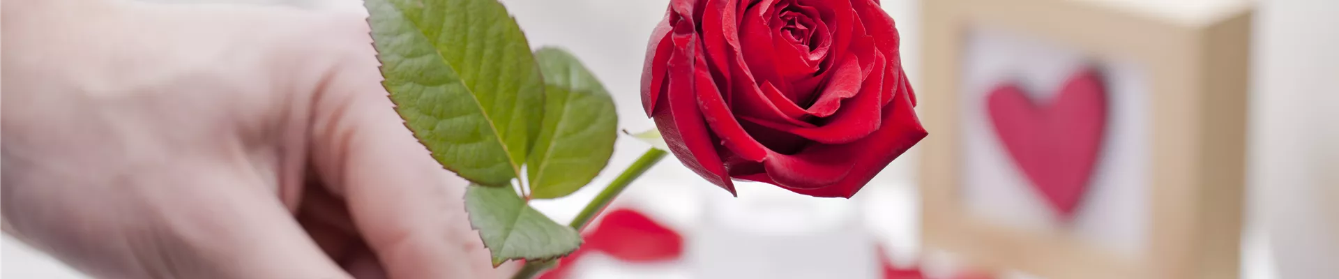 GS526283.jpg GS526283.jpg