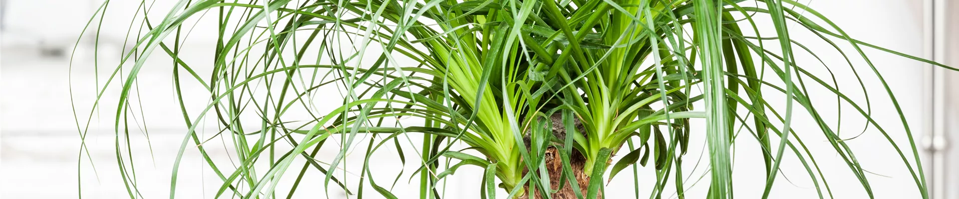 GS523348.jpg GS523348.jpg