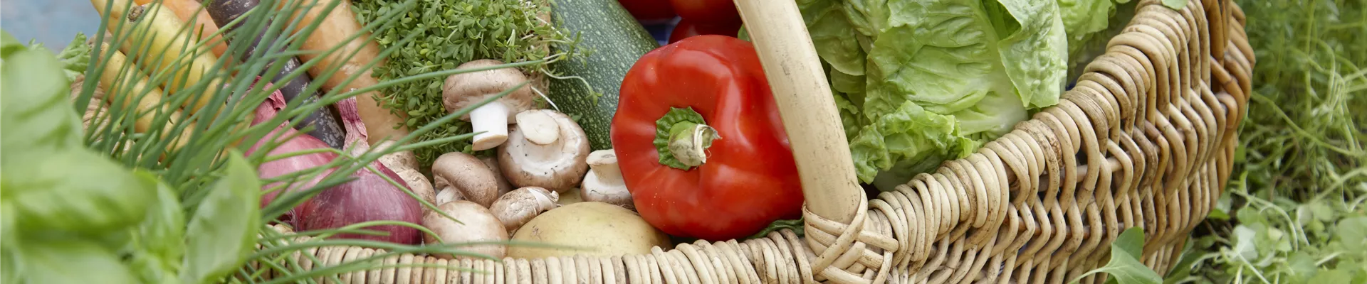 GS490930.jpg GS490930.jpg