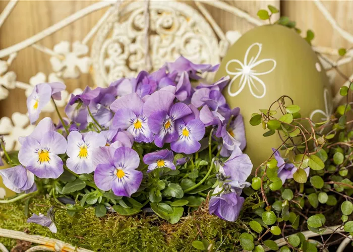 Ein buntes Osterfest mit den passenden Frühlingsboten Ein buntes Osterfest mit den passenden Frühlingsboten