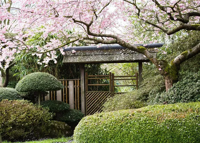 Ruhe und Erholung im japanischen Garten Ruhe und Erholung im japanischen Garten