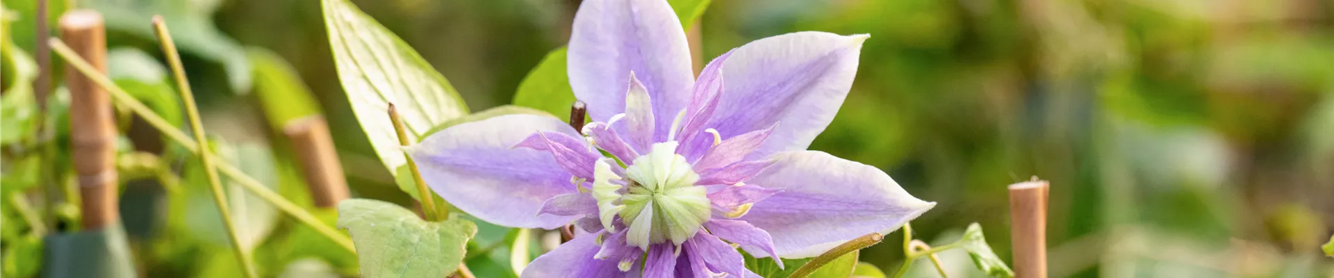 GS891476.jpg GS891476.jpg