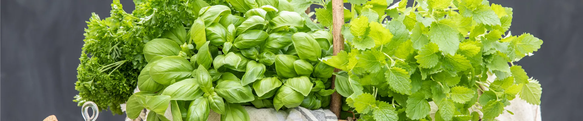 GS670167.jpg GS670167.jpg