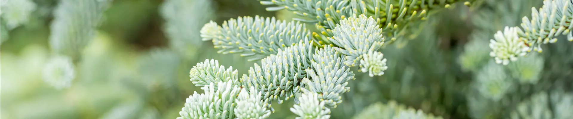 GS763754.jpg GS763754.jpg