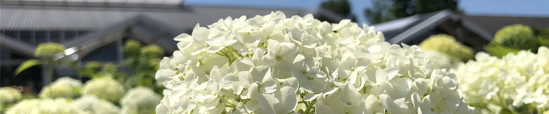 Titelb1 (24)-0-790-4032-864.JPG Titelb1 (24)-0-790-4032-864.JPG