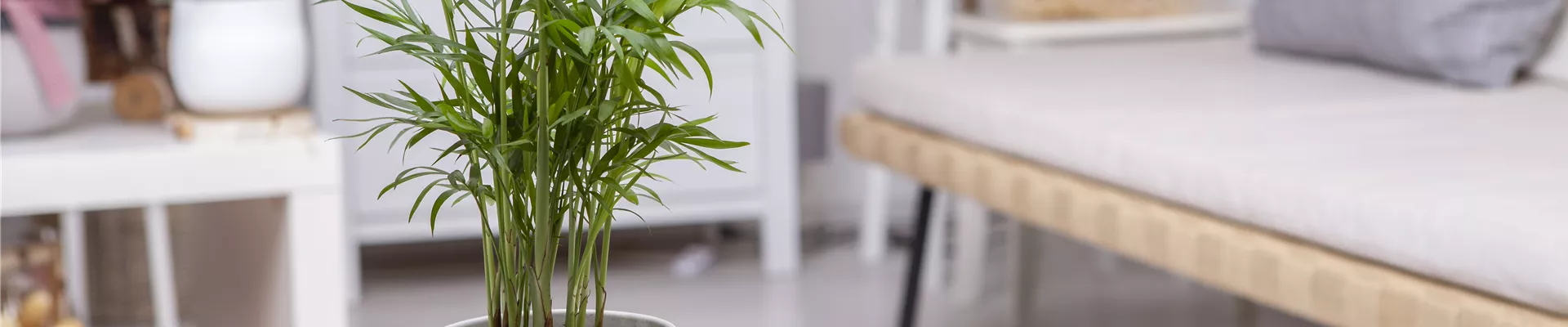 GS596263.jpg GS596263.jpg