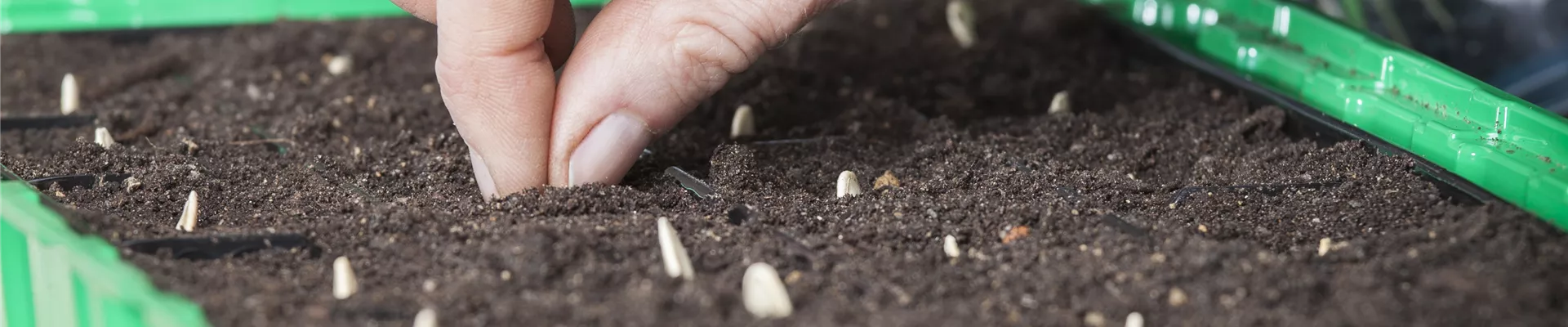 GS471912.jpg GS471912.jpg