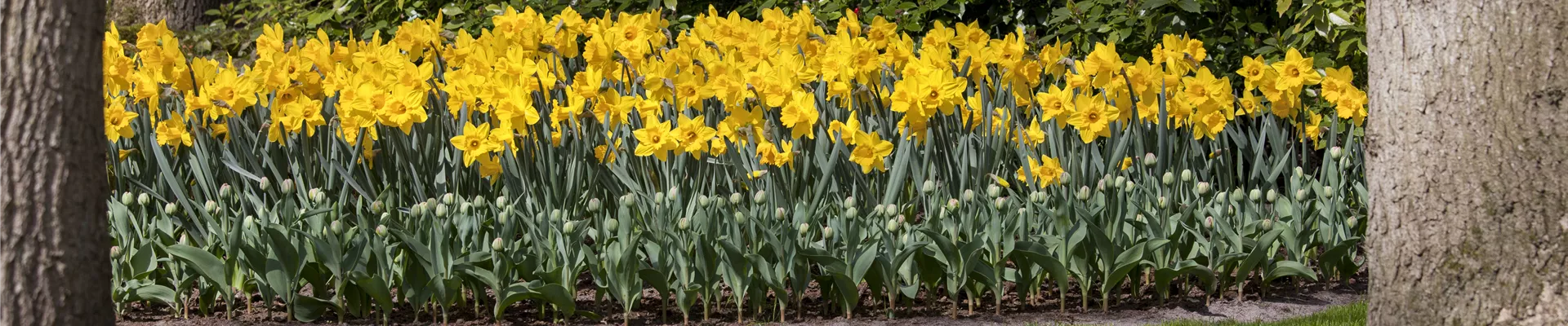 GS514600.jpg GS514600.jpg