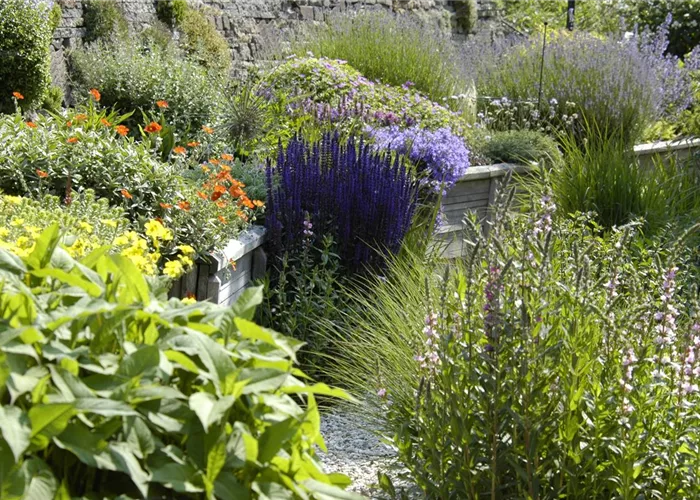 Das Staudenbeet – ein Blütenmeer im Garten