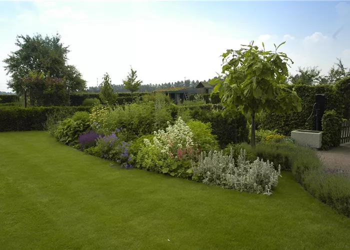 Wasser für den Rasen – Bewässerungssysteme und Tipps