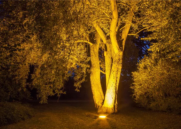 Weihnachts-Lichter-Gärten
