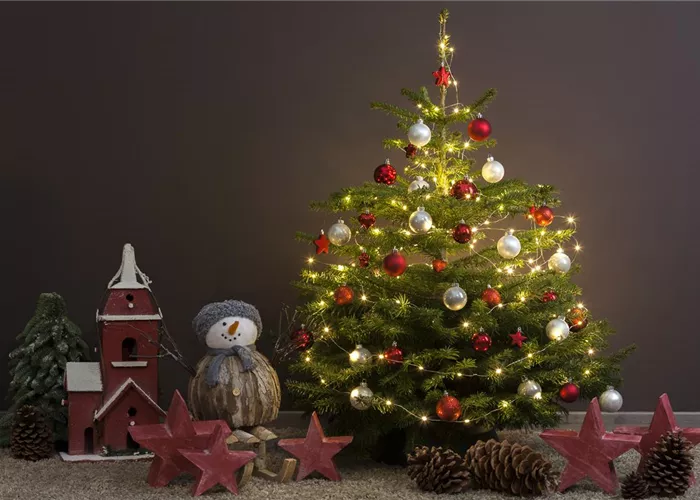 Tradition des Weihnachtsbaums