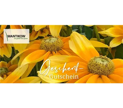 Online Gutschein
