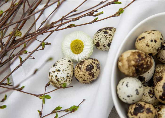 Palmsonntag: grüne Traditionen in der Kirche