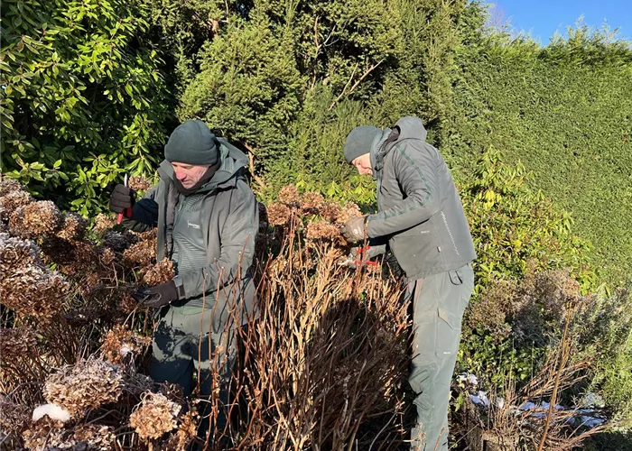 Auszubildende/r als Gärtner/in im Garten- und Landschaftsbau