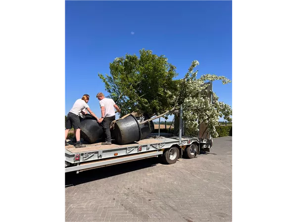 LKW-Fahrer auf Minijob 