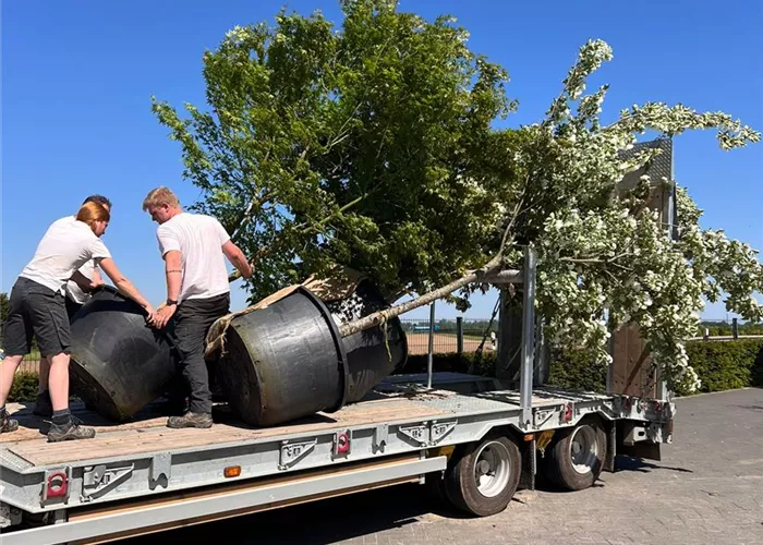 LKW-Fahrer auf Minijob 