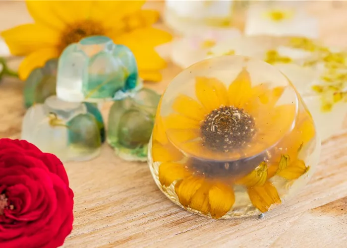 Blumenseife - die etwas andere Seife mit Blüten