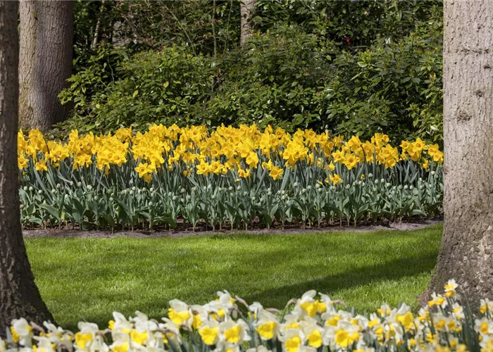 Das richtige Blumenbeet für den eigenen Garten